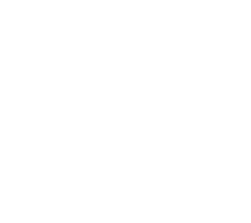 primaaktiv-icon