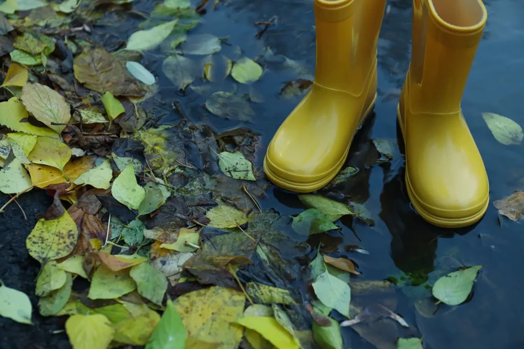 regenwetter